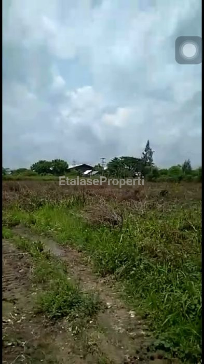 Foto properti Tanah Industri Di Tuban 5