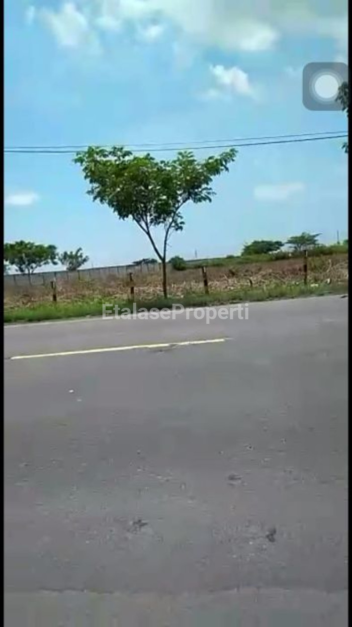 Foto properti Tanah Industri Di Tuban 6