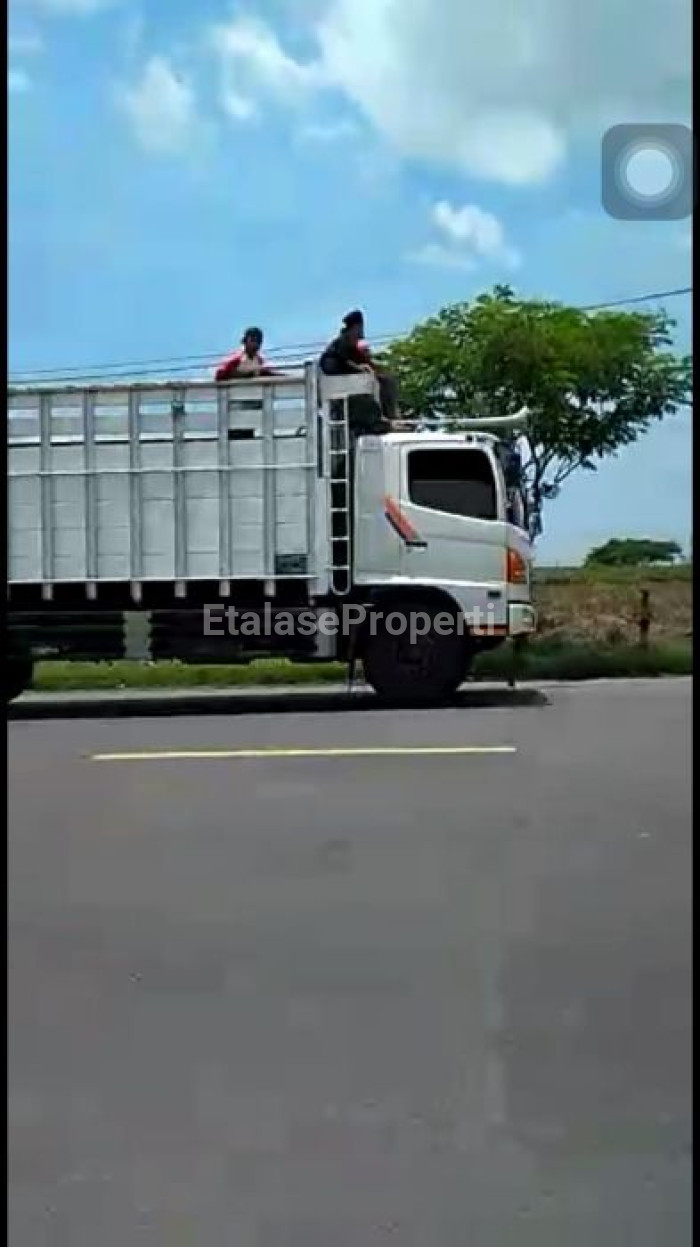 Foto properti Dijual Cepat Tanah Di Kecamatan Widang, Tuban 1