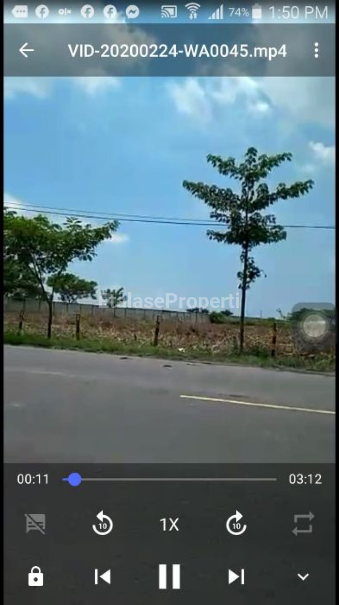 Foto properti Dijual Cepat Tanah Di Kecamatan Widang, Tuban 10
