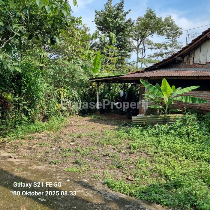 Foto properti Dijual : Tanah Kebun Di Wonosalam 3
