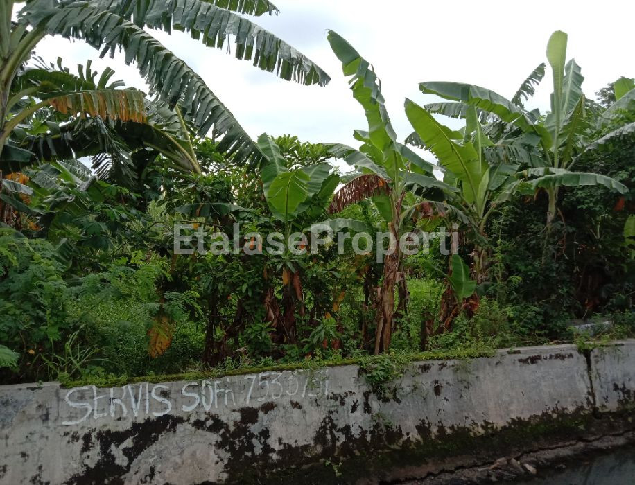Foto properti Jual Tqnah Daerah Ketintang 1