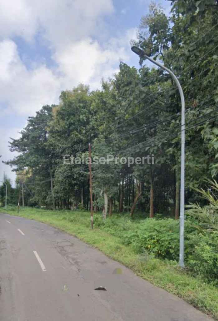 Foto properti JUAL LAHAN /TANAH BERLOKASI DI JL. TUTUR 1