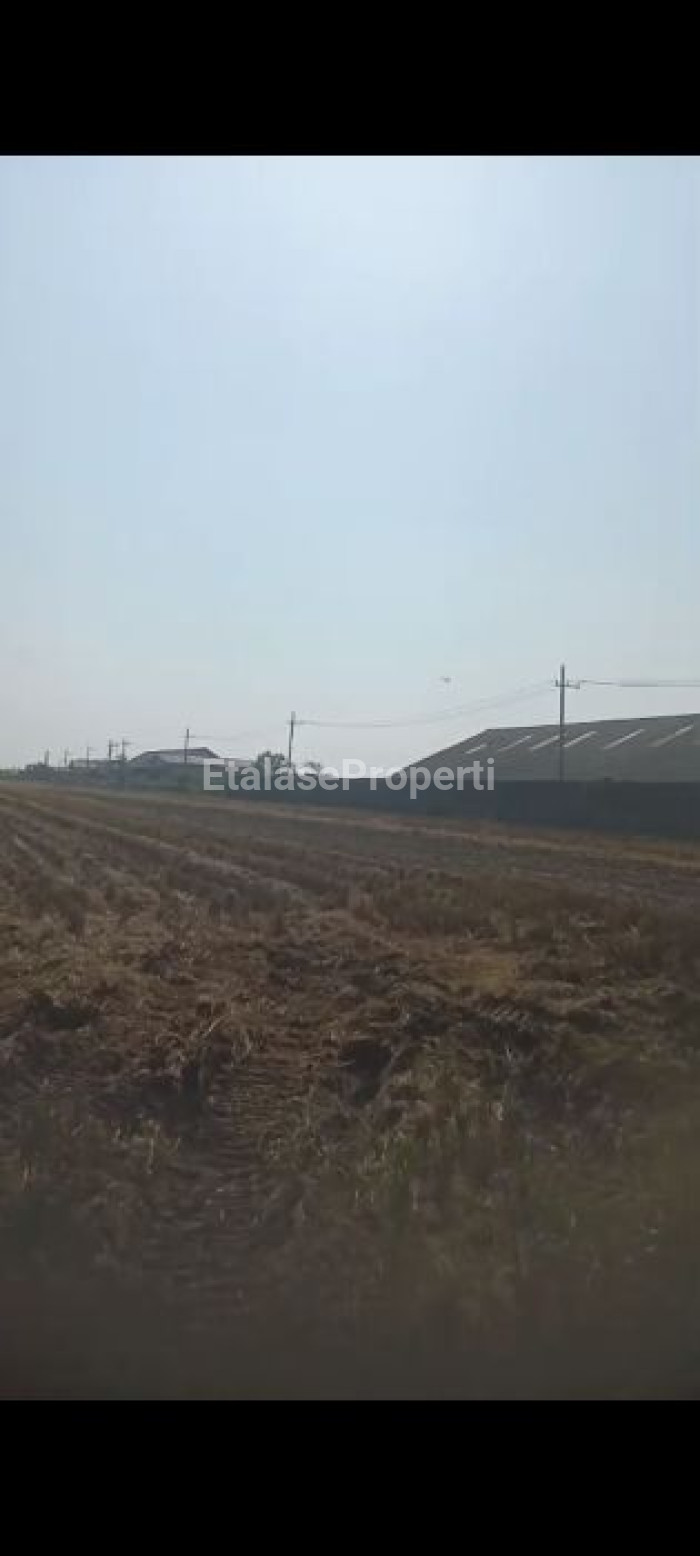 Foto properti JUAL LAHAN INDUSTRI BERLOKASI DI JOMBANG, JAWA TIMUR 1