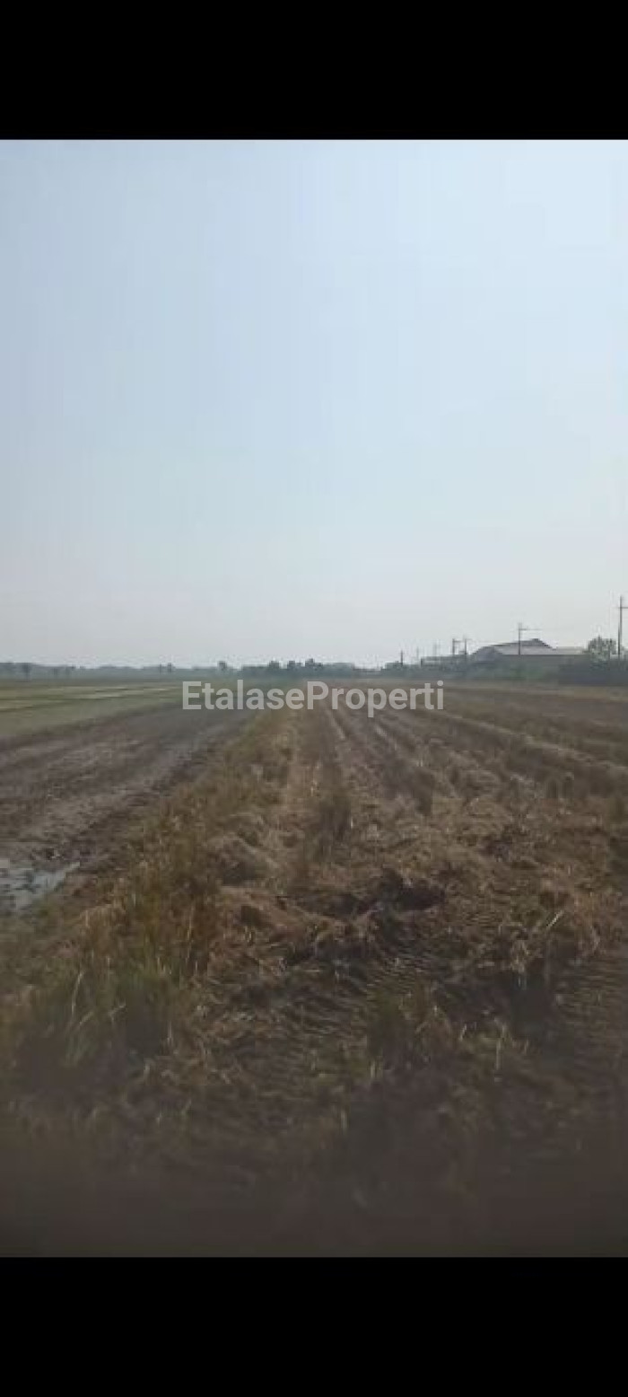 Foto properti JUAL LAHAN INDUSTRI BERLOKASI DI JOMBANG, JAWA TIMUR 2