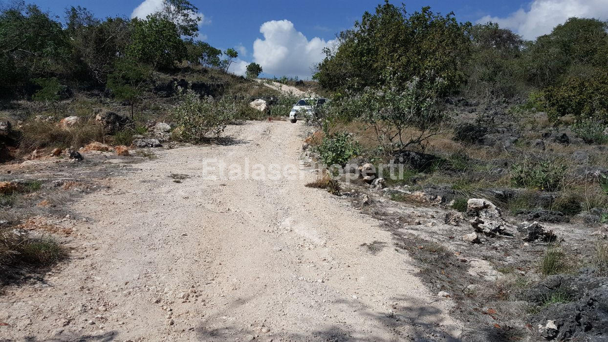 Foto properti JUAL CEPAT TANAH PANTAI Lokasi MAMBORO Sumba Tengah, NTT 7