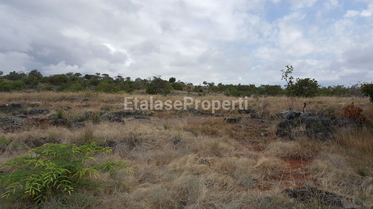 Foto properti JUAL CEPAT TANAH PANTAI Lokasi MAMBORO Sumba Tengah, NTT 8