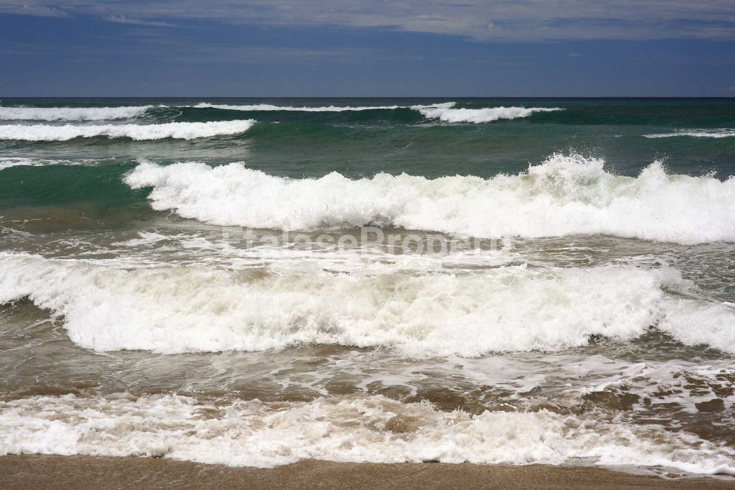 Foto properti JUAL CEPAT TANAH PANTAI Lokasi MAMBORO Sumba Tengah, NTT 2