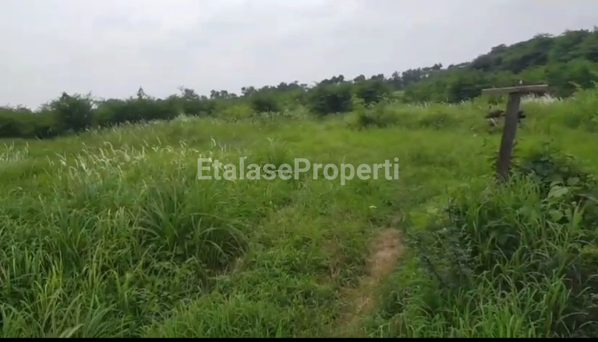 Foto properti JUAL LAHAN ZONA INDUSTRI & GUDANG BERLOKASI DI JL.  MOROWUDI, CERME - GRESIK, JAWA TIMUR 1