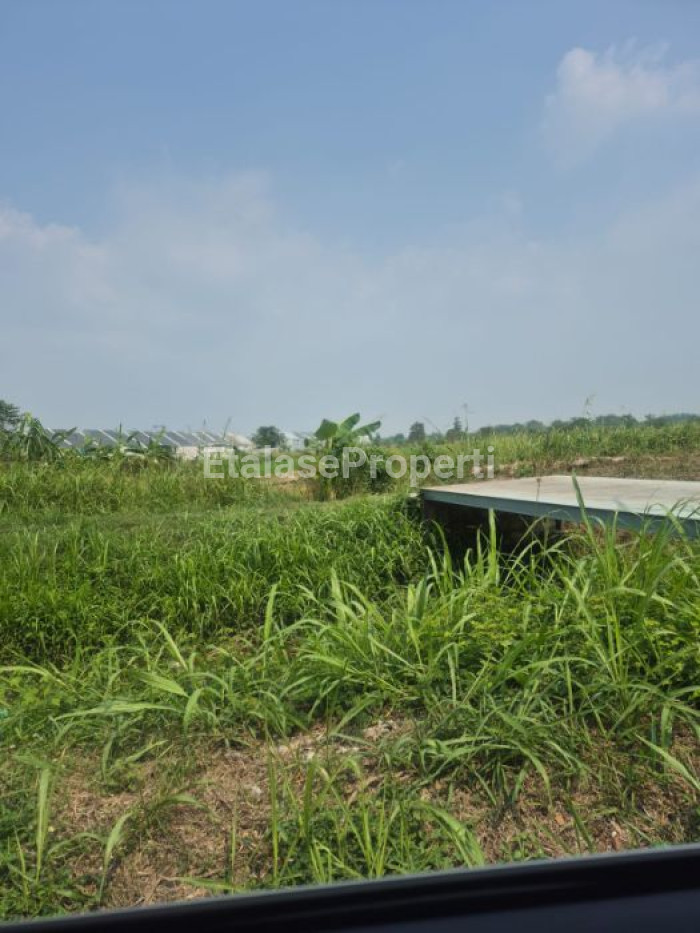 Foto properti Dijual Tanah Daerah Dadap Kuning (persis Sebelahnya Perumahan Gresik Kota Mas) 2