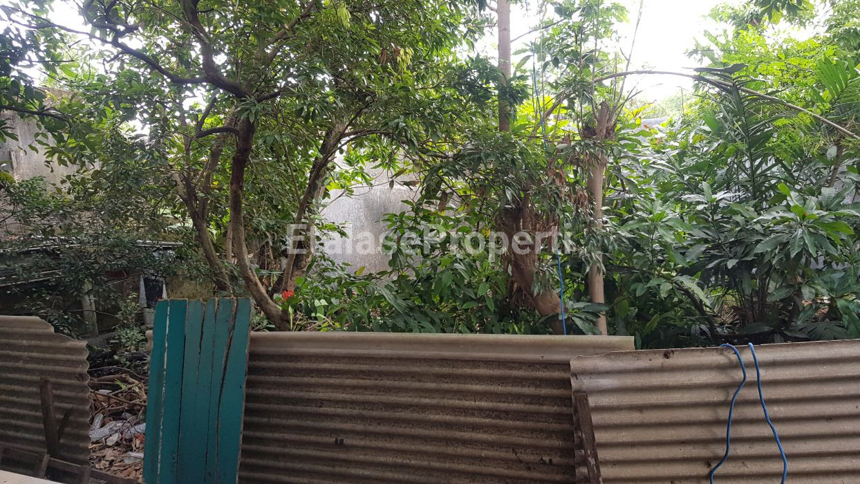 Foto properti Rumah Murah Dibawah Harga Pasar Daerah Semambung 4