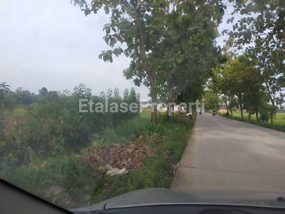 Foto properti JUAL TANAH STRATEGIS, DI JL RAYA KEMBANGAN, KEC  BUKATEJA,  PURBALINGGA, JAWA TENGAH 1