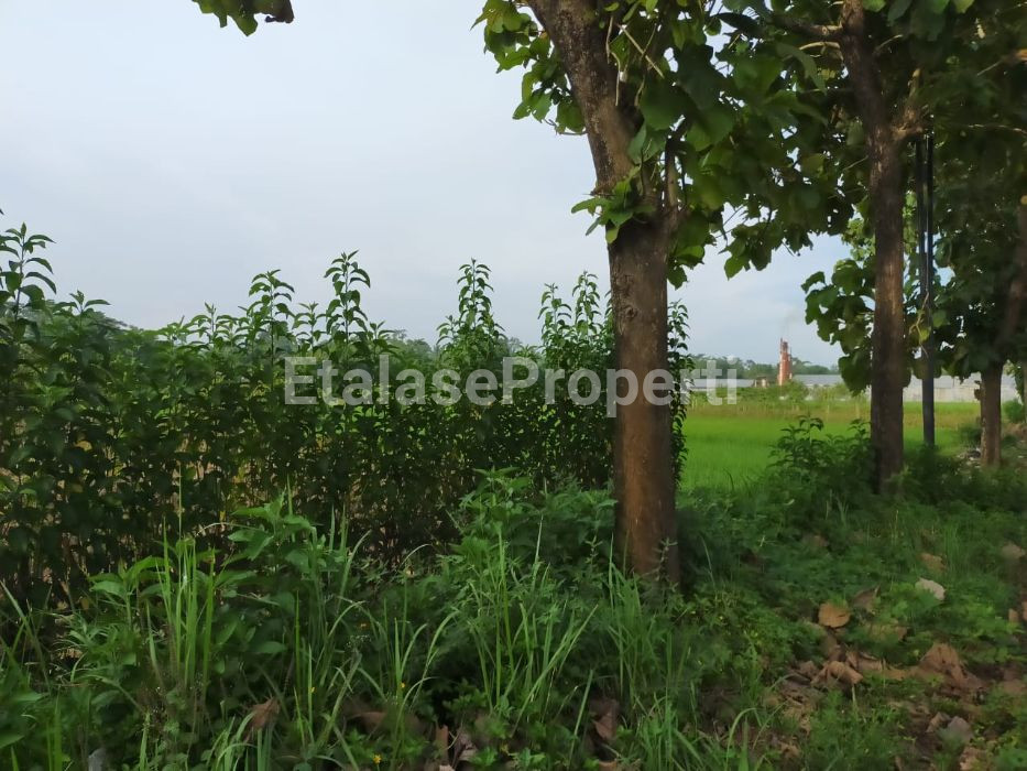 Foto properti JUAL TANAH STRATEGIS, DI JL RAYA KEMBANGAN, KEC  BUKATEJA,  PURBALINGGA, JAWA TENGAH 2