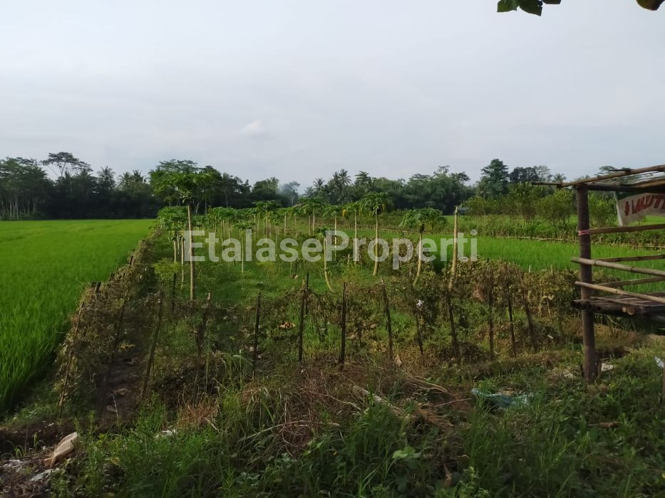 Foto properti JUAL TANAH STRATEGIS, DI JL RAYA KEMBANGAN, KEC  BUKATEJA,  PURBALINGGA, JAWA TENGAH 3