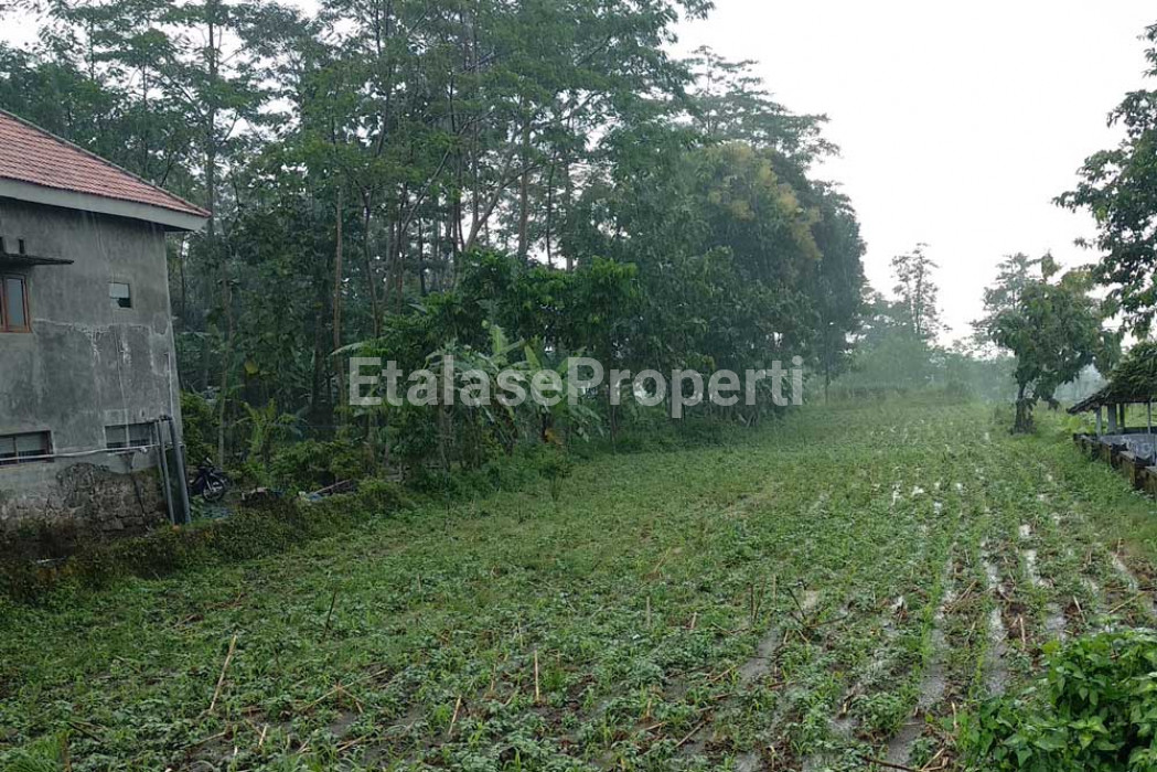 Foto properti Dijual Tanah Trawas Cocok Untuk Development 1