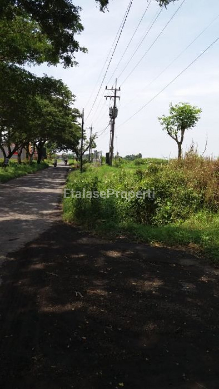 Foto properti Dijual Tanah  Jl. Blimbing Sari, Banyuwangi 1