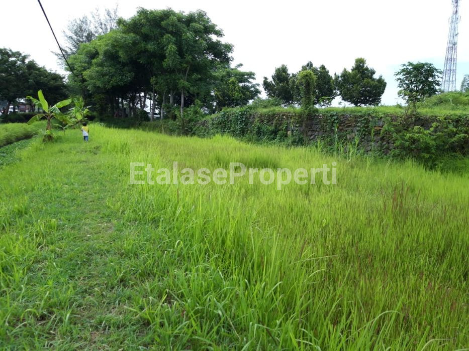 Foto properti Jual Tanah Di Pasuruan 2