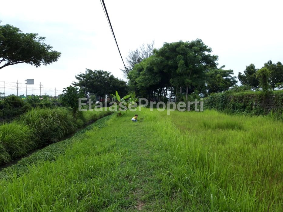 Foto properti Jual Tanah Di Pasuruan 3