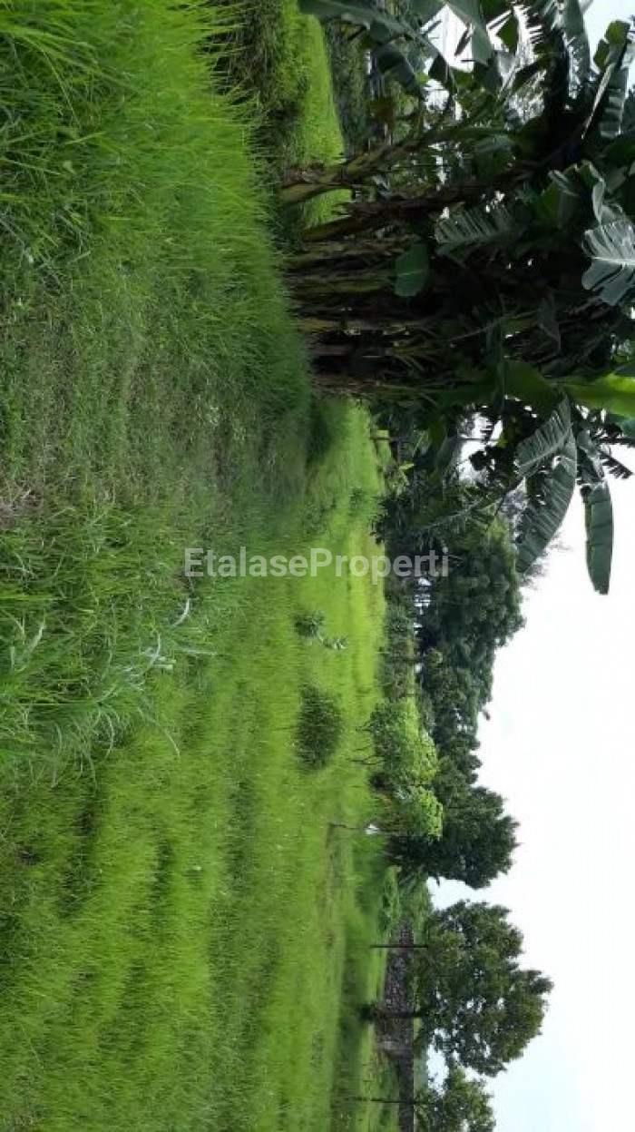 Foto properti Jual Tanah Di Pasuruan 4