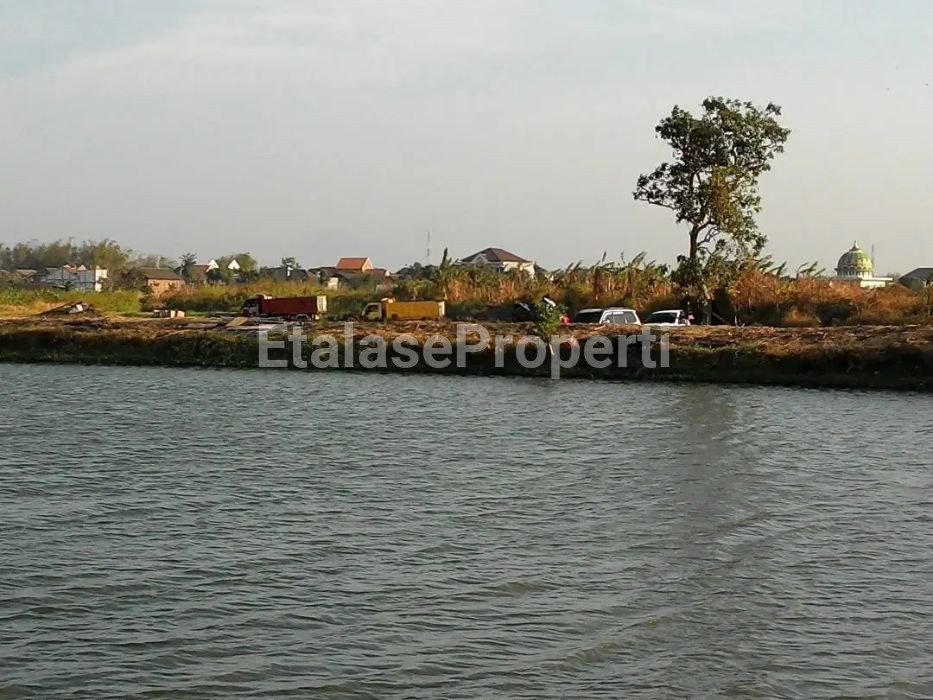 Foto properti Dijual Tanah Tambak Di Menganti 2