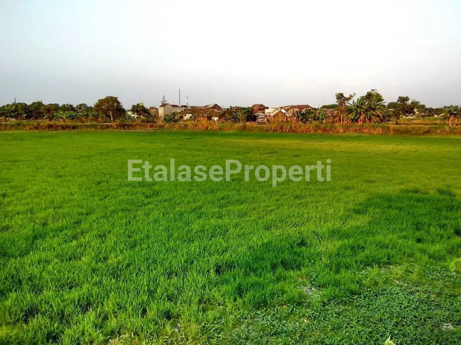 Foto properti Dijual Tanah Tambak Di Menganti 3