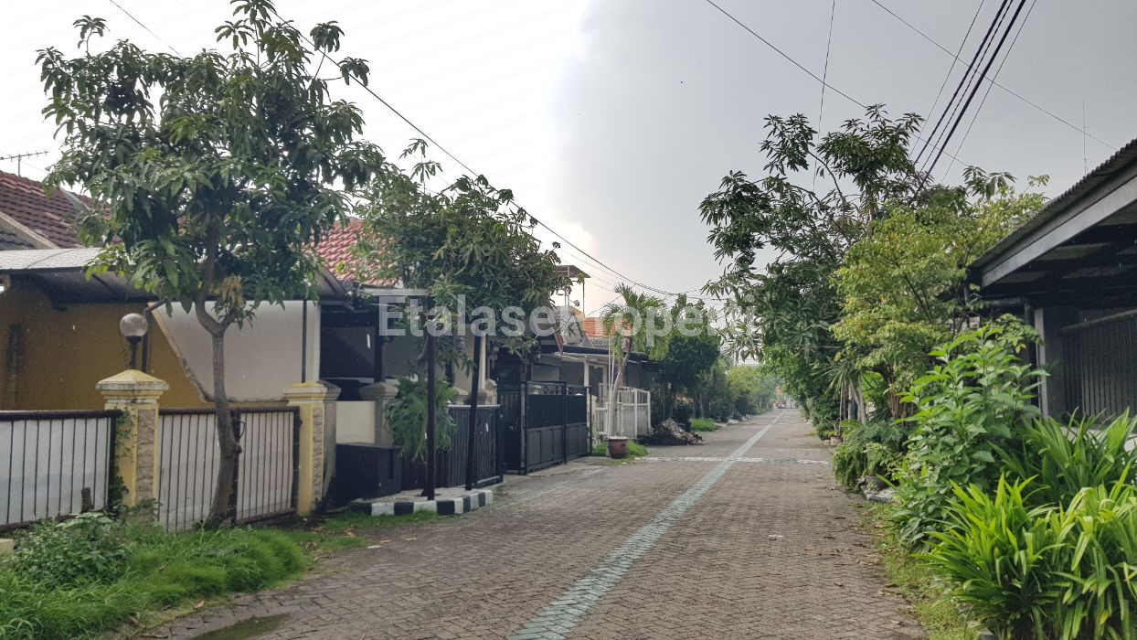 Foto properti Jual Cepat Rumah Renovasi Di Wiguna Selatan, Surabaya Selatan 2