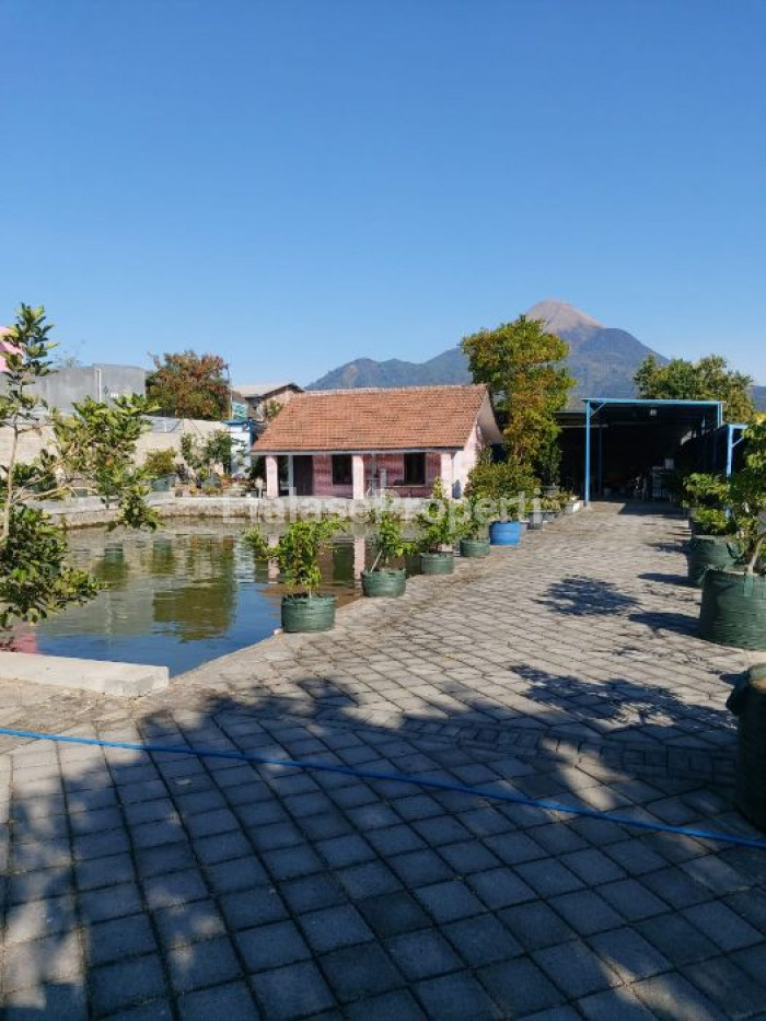 Foto properti DIJUAL RUMAH BERSANTAI DI PANDAAN 3