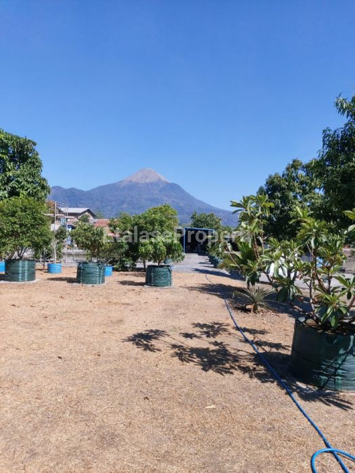 Foto properti DIJUAL RUMAH BERSANTAI DI PANDAAN 4