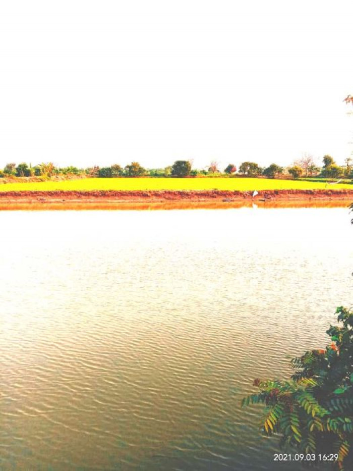 Foto properti Dijual Tanah Tambak Aktif Balongpanggang, Gresik 1