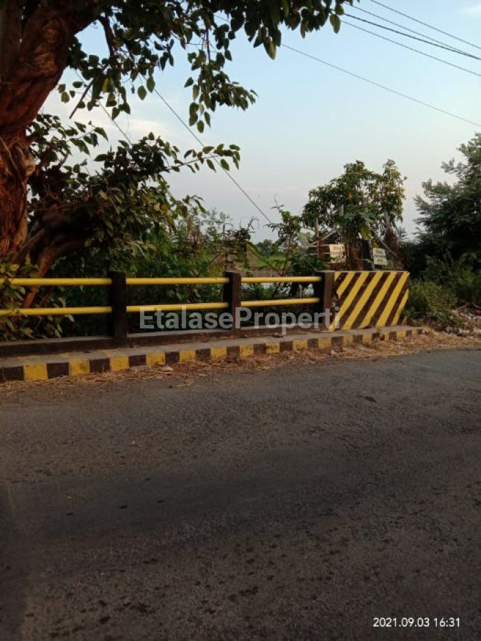 Foto properti Dijual Tanah Tambak Aktif Balongpanggang, Gresik 2