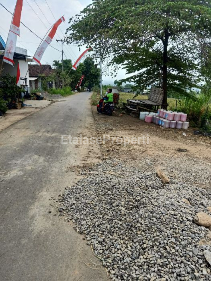 Foto properti Jual Tanah Mojokerto Trowulan 4
