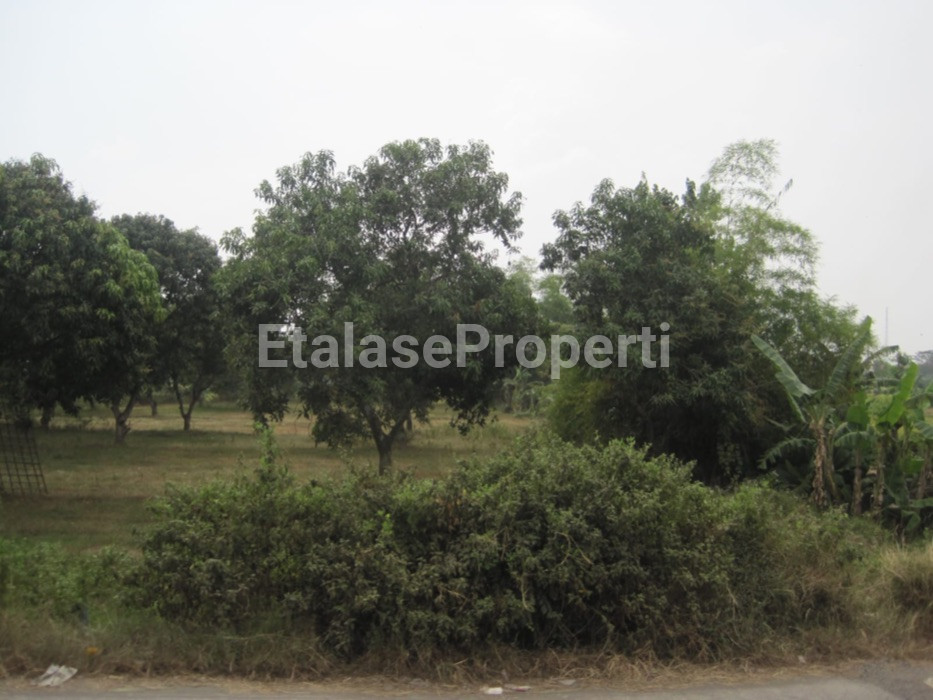 Foto properti Dijual Tanah Kavling Mojosari 2