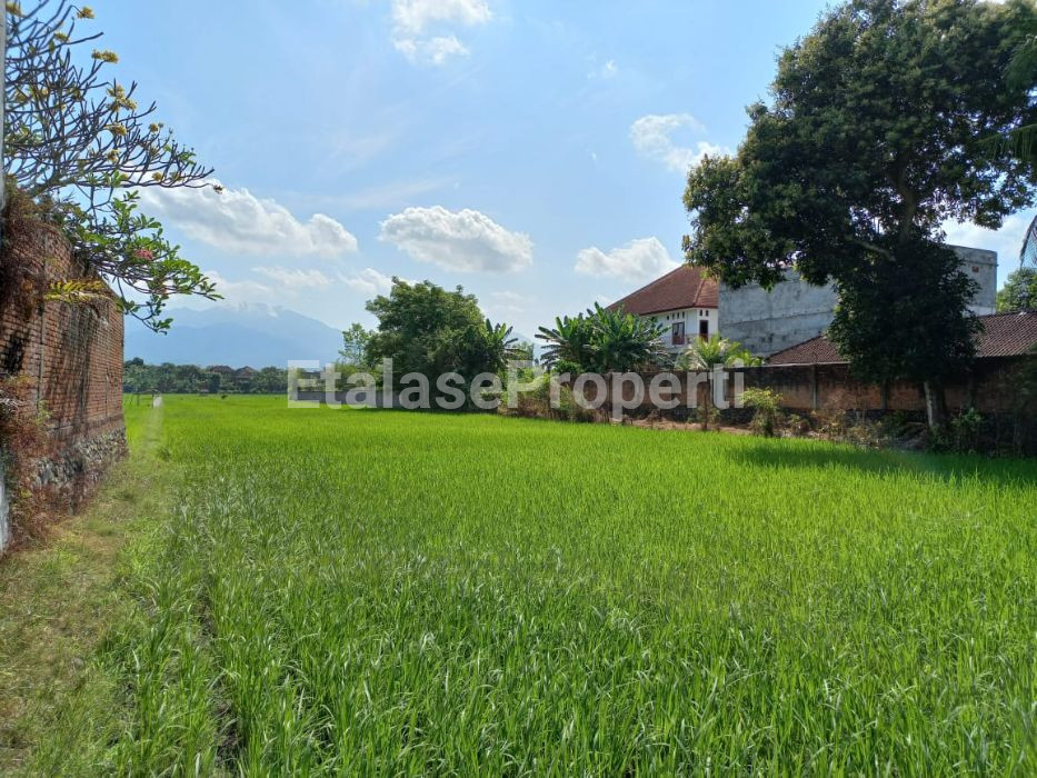 Foto properti Dijual Tanah Di Udayana, Negara Bali 4