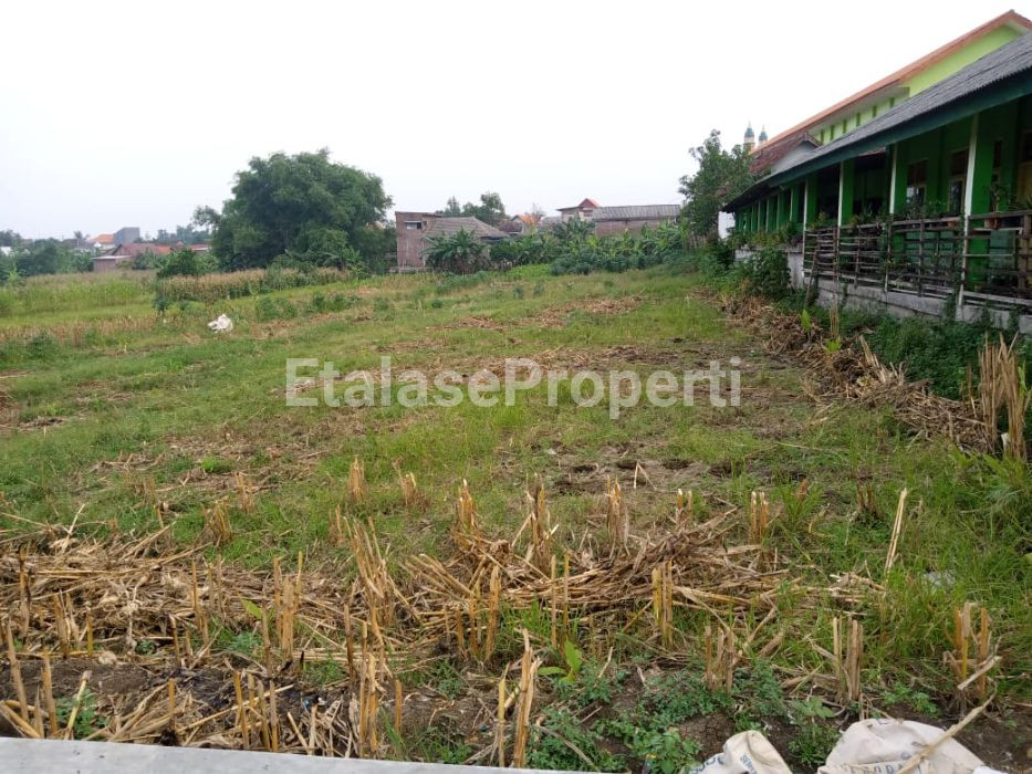 Foto properti DI JUAL TANAH DEKAT PABRIK SUMPUT DRIYOREJO-GRESIK 1
